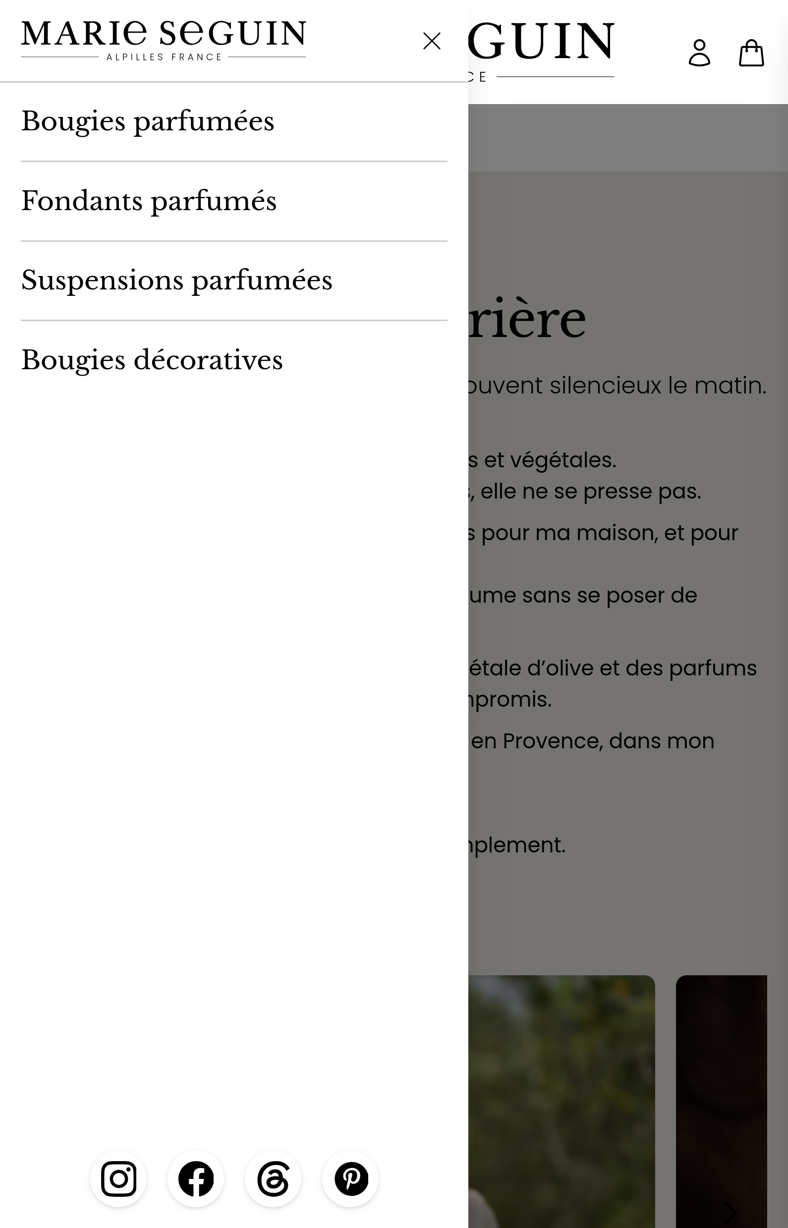 Site e-commerce de MARIE SEGUIN conçu par JMCNS